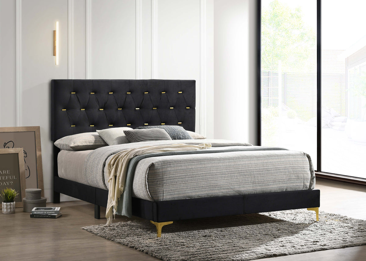 Kendall Tufted Panel Bed Black and Gold  Las Vegas Furniture Stores