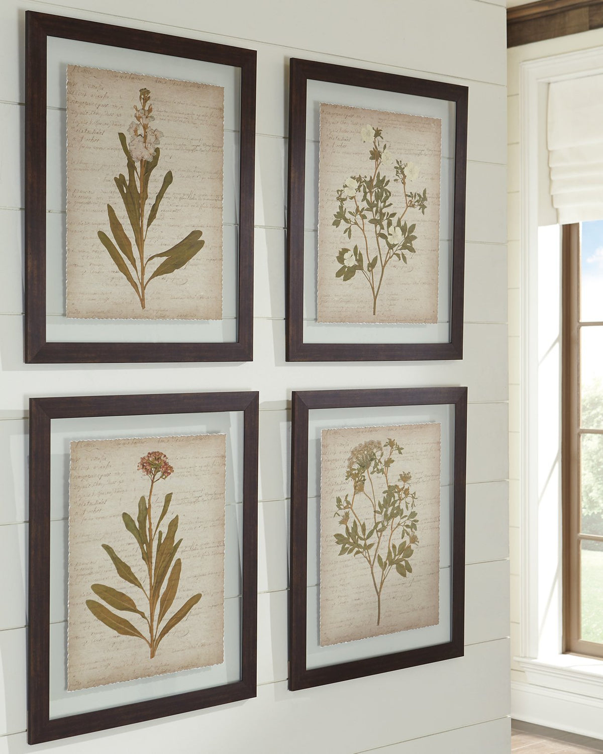 Dyani Wall Art (Set of 4) - Wall Art - Half Price Furniture
