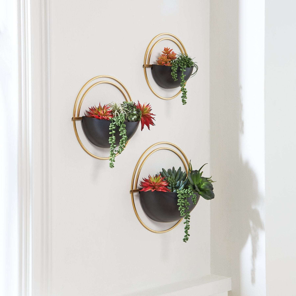 Tobins Wall Planter (Set of 3) - Half Price Furniture