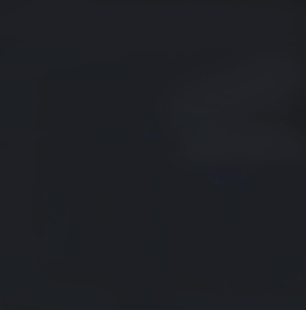 Haidera 4-panel Damask Pattern Folding Screen Black - Room Divider - Half Price Furniture