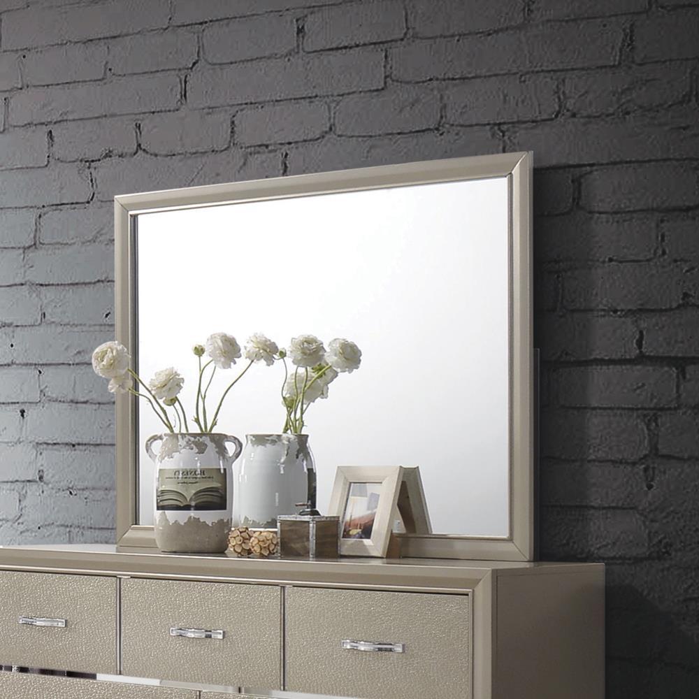 Beaumont Rectangular Dresser Mirror Champagne - Mirror - Half Price Furniture