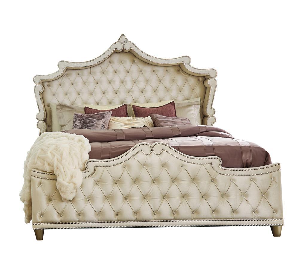 Antonella Upholstered Tufted California King Bed Ivory and Camel - Half Price Furniture