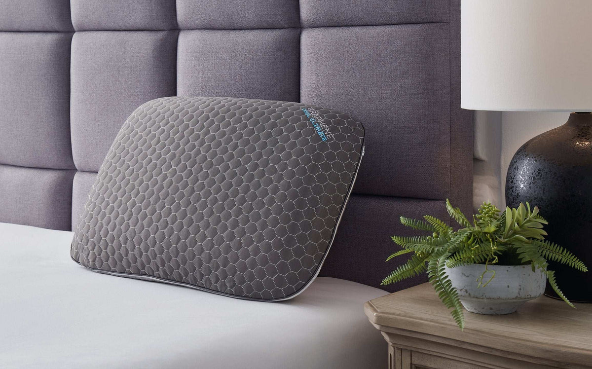Zephyr 2.0 Graphene Contour Pillow (6/Case) - Half Price Furniture