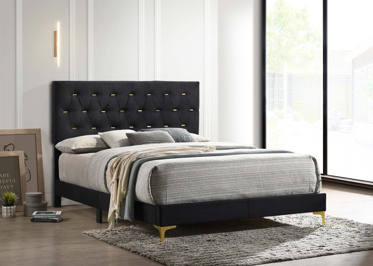 Kendall Tufted Panel Bed Black and Gold - Bed - Half Price Furniture