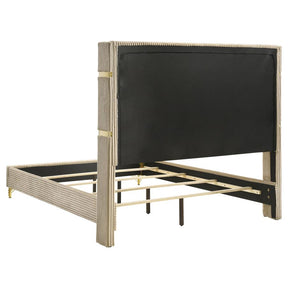 Lucia 4-Piece Bedroom Set Beige and White
