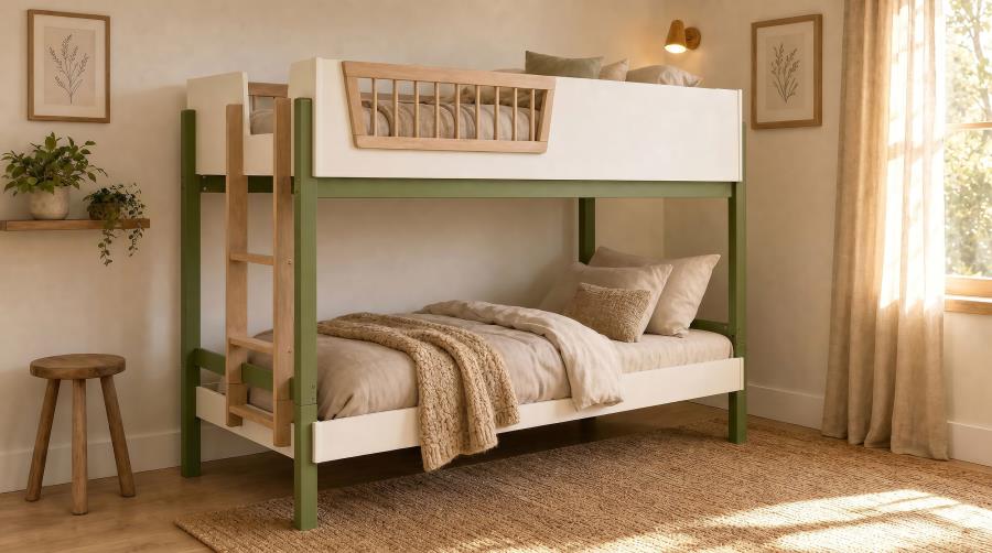 Evren twin over twin bunk bed tri-tone