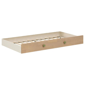 Evren twin over full bunk bed with trundle tri-tone