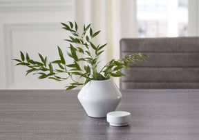 Domina Jar - Jar - Half Price Furniture