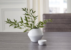 Domina Jar (Set of 2) - Jar - Half Price Furniture