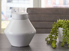 Domina Jar - Jar - Half Price Furniture