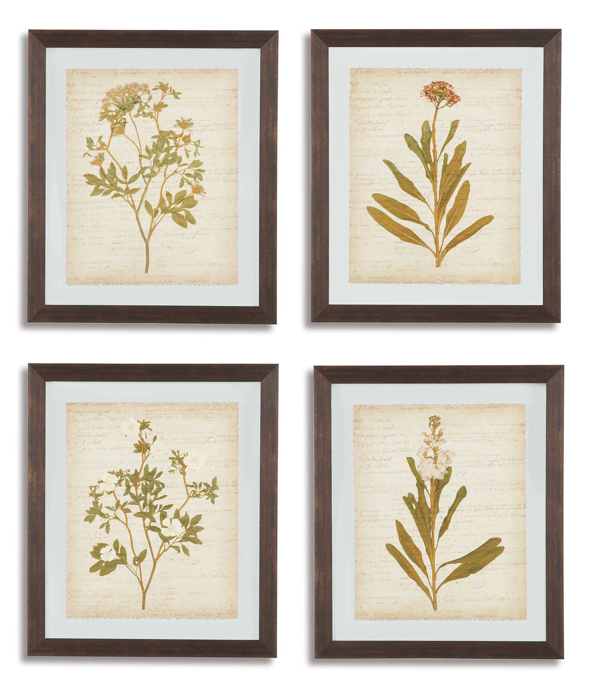 Dyani Wall Art (Set of 4)  Half Price Furniture