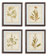 Dyani Wall Art (Set of 4) Half Price Furniture