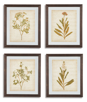 Dyani Wall Art (Set of 4)  Half Price Furniture