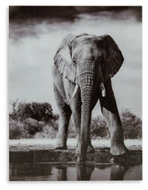 Glinyard Wall Art Half Price Furniture