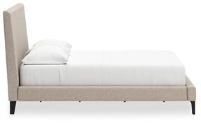 Cielden Upholstered Bed with Roll Slats - Bed - Half Price Furniture