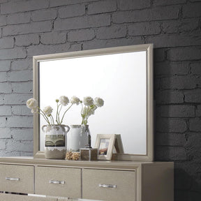 Beaumont Rectangular Dresser Mirror Champagne - Mirror - Half Price Furniture