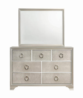 Salford Rectangular Dresser Mirror Metallic Sterling - Mirror - Half Price Furniture