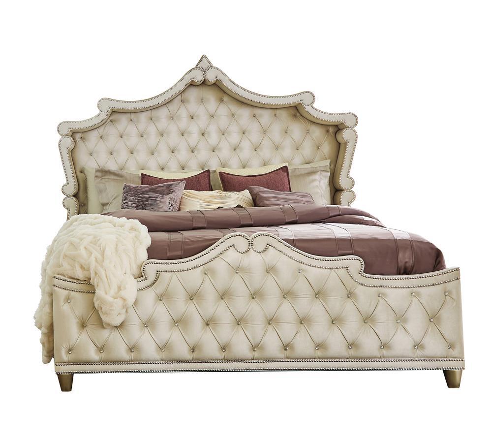 Antonella Upholstered Tufted Queen Bed Ivory and Camel  Half Price Furniture