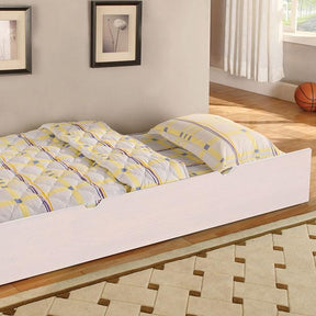 PRISMO Trundle Half Price Furniture