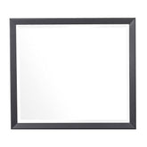 Homelegance Raku Mirror in Gray 1711-6 Half Price Furniture