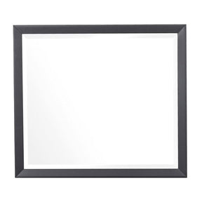 Homelegance Raku Mirror in Gray 1711-6 Half Price Furniture