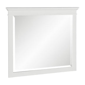 Blaire Farm Mirror - Mirror - Half Price Furniture