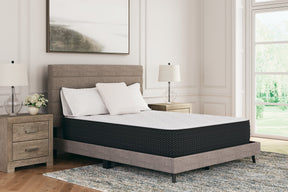 Limited Edition Plush Mattress Half Price Furniture
