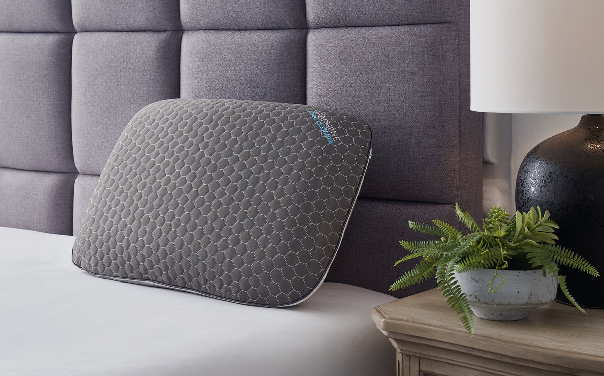 Zephyr 2.0 Graphene Contour Pillow (6/Case)  Half Price Furniture