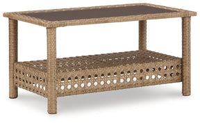 Braylee Outdoor Loveseat with Table (Set of 2) - Outdoor Seating Set - Half Price Furniture